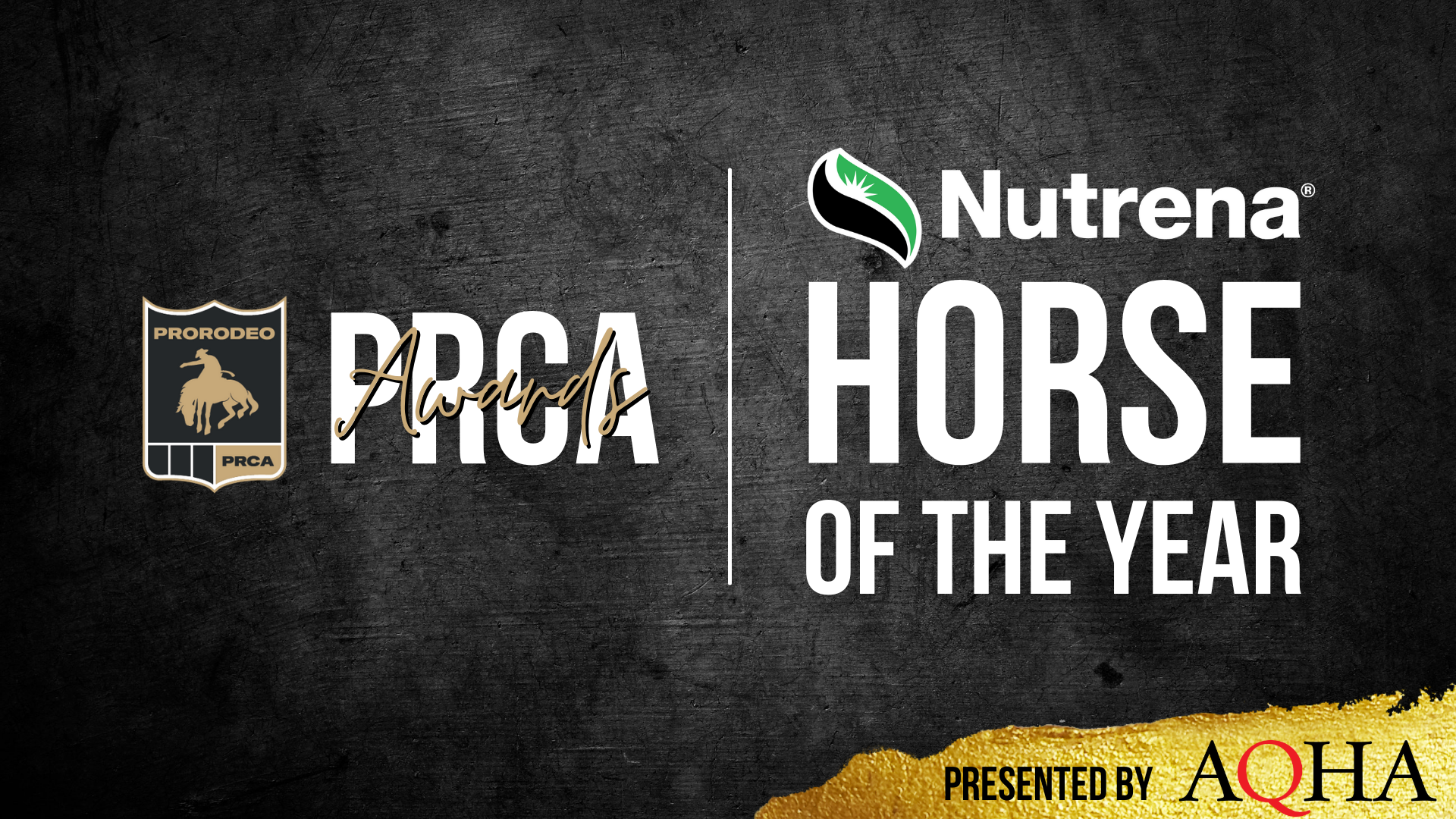 Pro Rodeo Recognizes PRCA Pickup Horses with Inaugural Nutrena