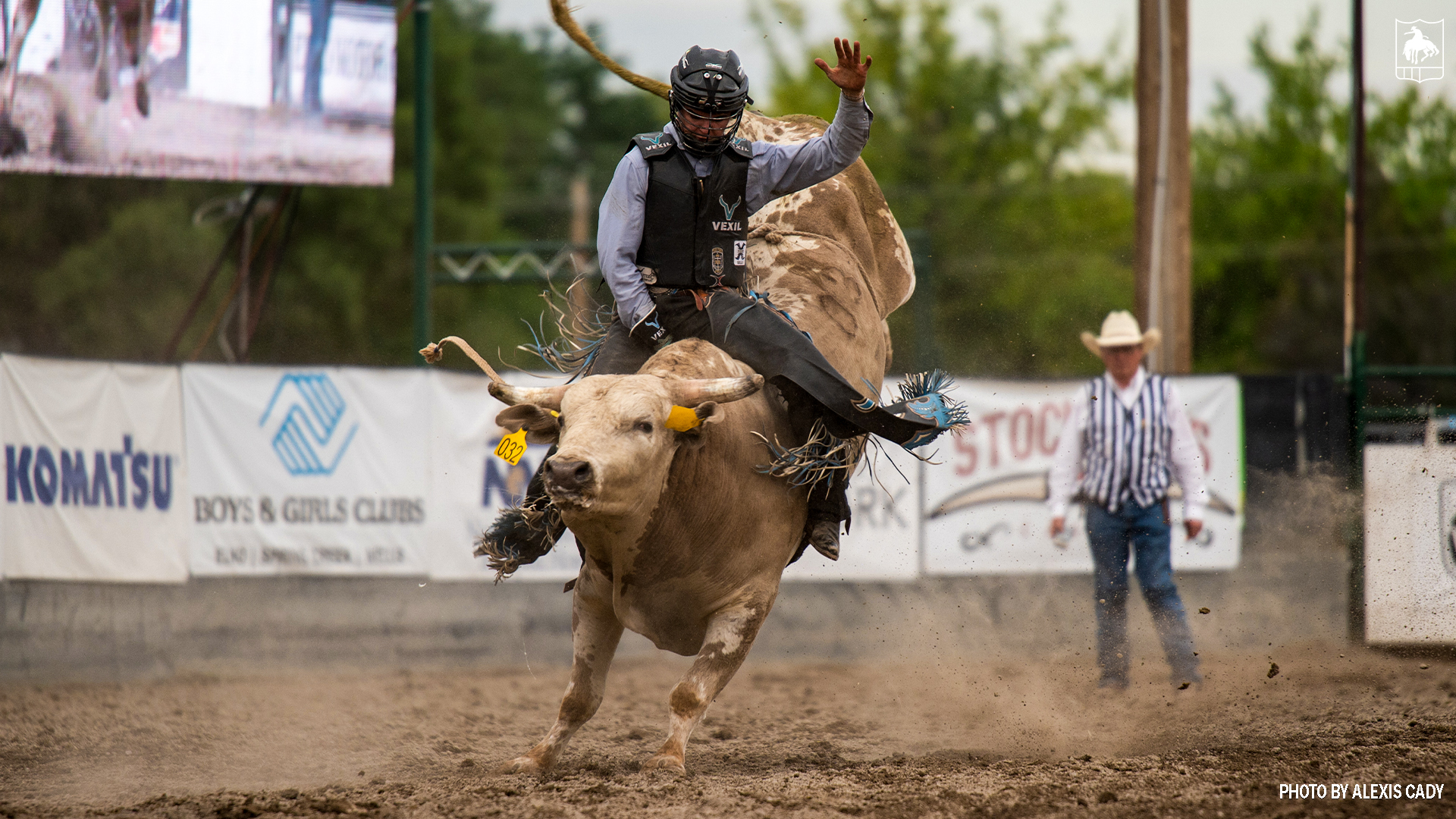 Resistol Rookie Wacey Schalla captures win at Silver State Stampede | PRCA  Sports News