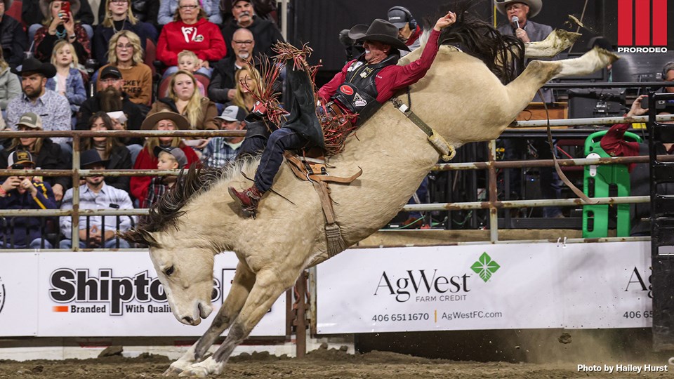 Shadbolt Chase Hawks