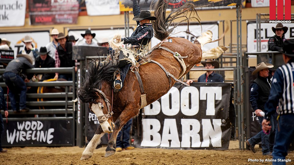 Coleman Shallbetter Buck & Ball