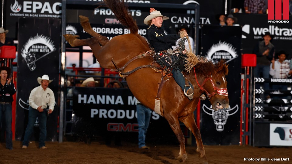 Dawson Hay Hardgrass