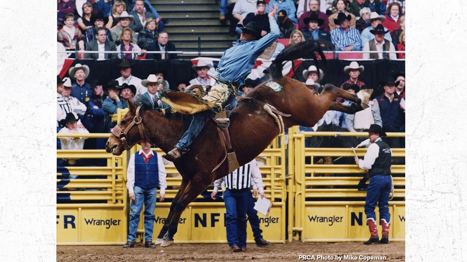 Classic Pro Rodeo's Wise Guy horse