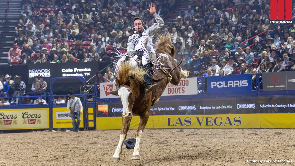 Cole Franks 2025 NFR