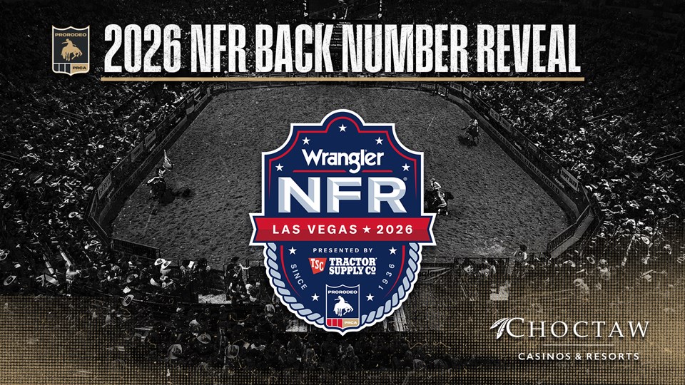 Back Number Reveal 26