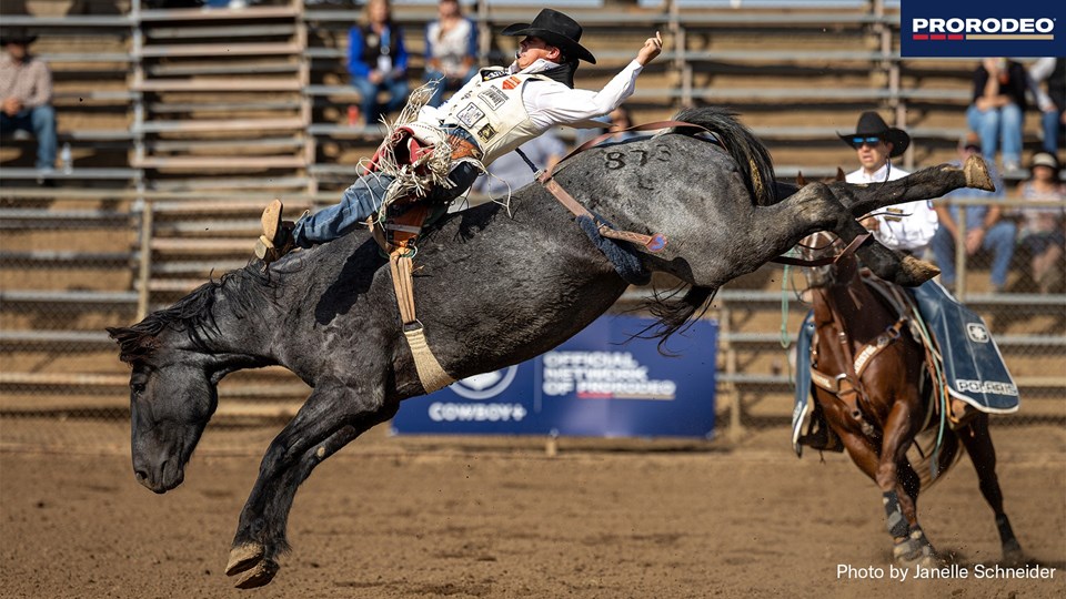 Clayton Biglow, Clements 26