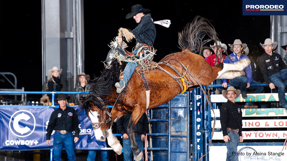 Gus Galliard Extreme Broncs New Town 2027 season