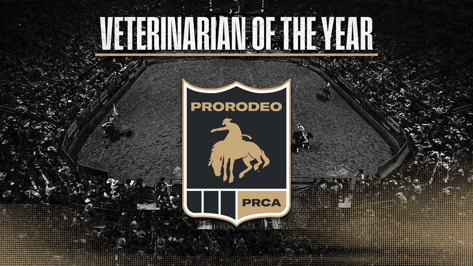 vet of the year