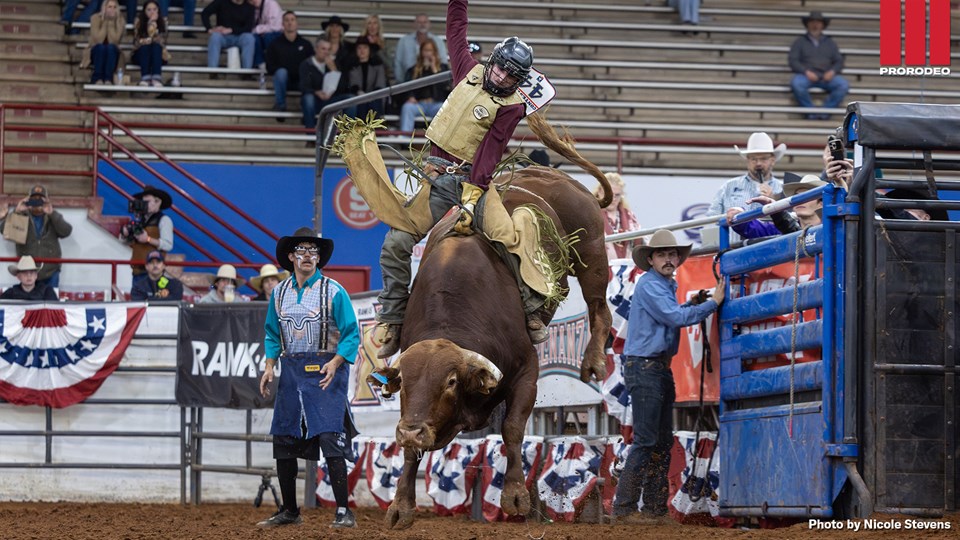 Noah Lee Guthrie BULLNANZA