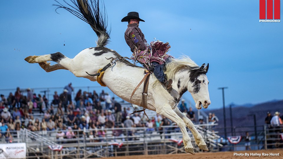 Luke Thrash Logandale