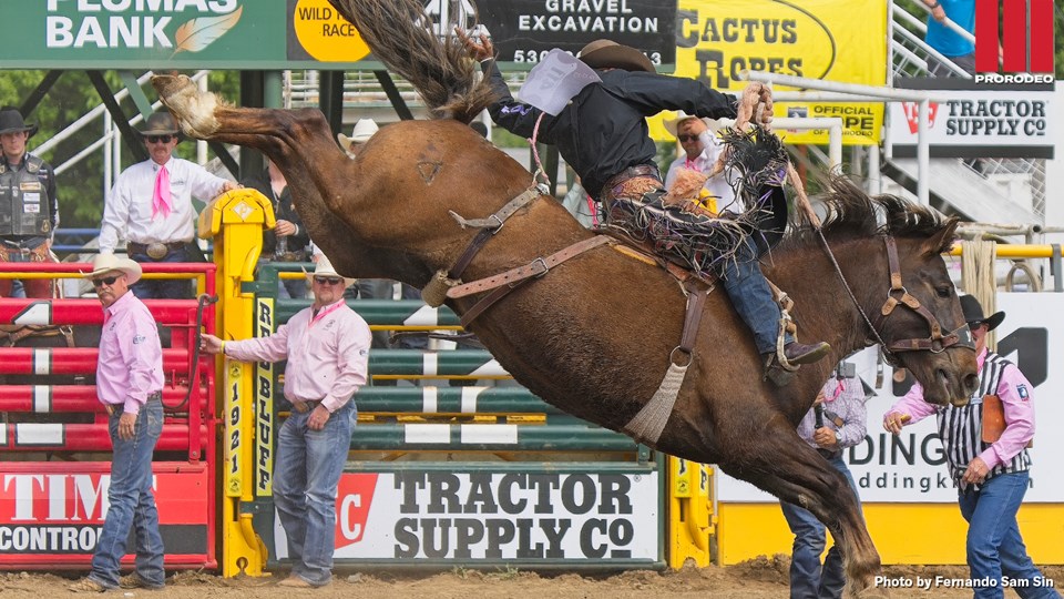 Weston Patterson Red Bluff
