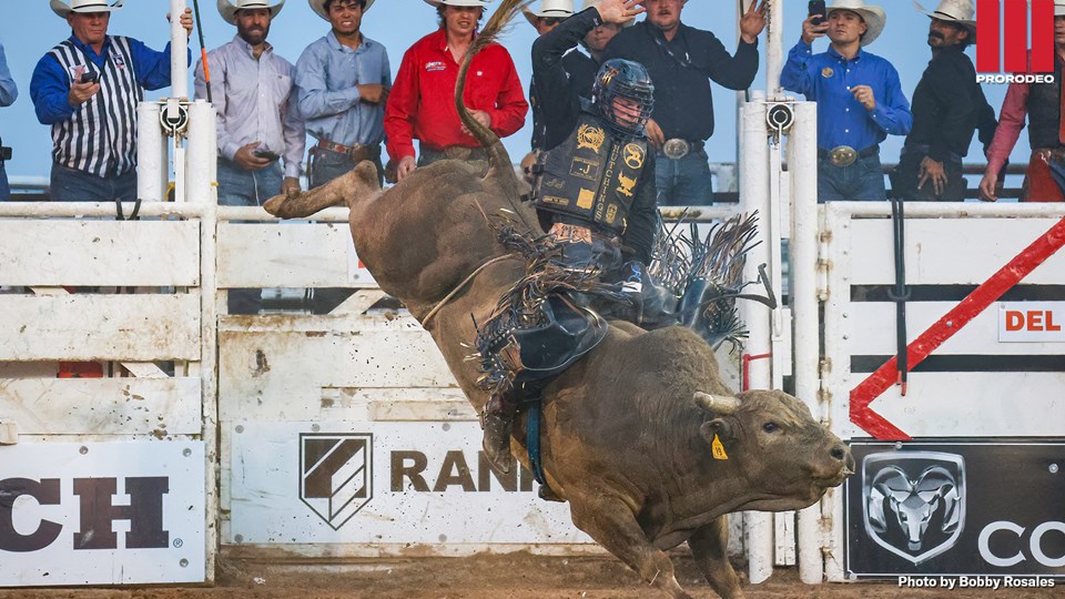 Tristen Hutchings George Paul XBulls