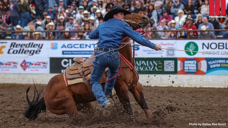 Chase Webster Clovis