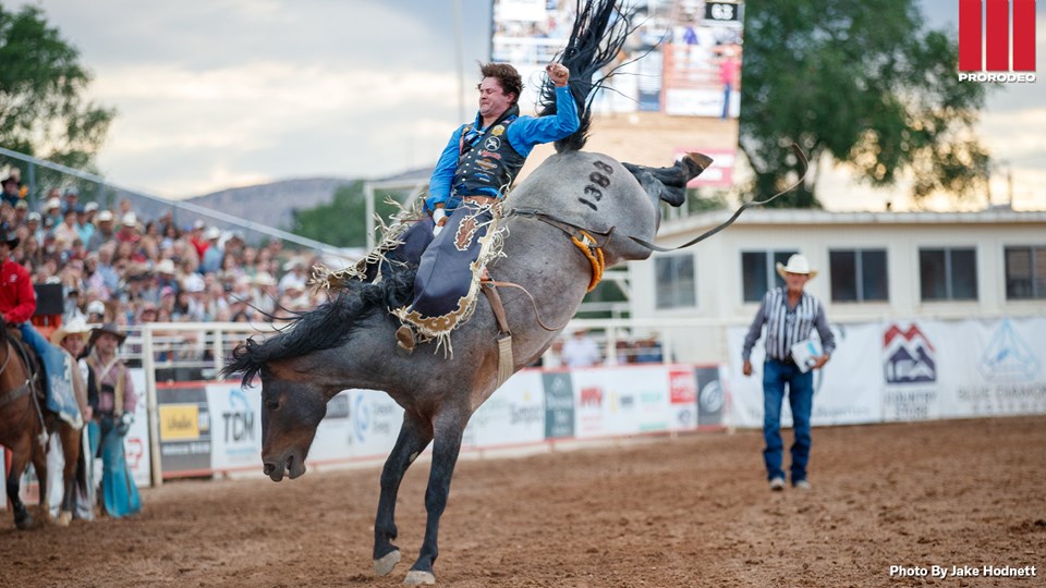 Cole Reiner Vernal