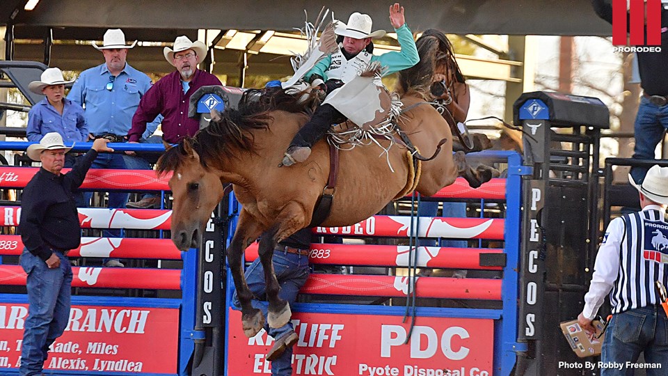 Cole Franks Pecos