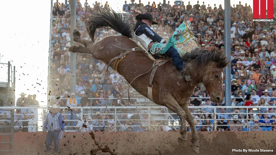 Bradlee Miller Ozarks