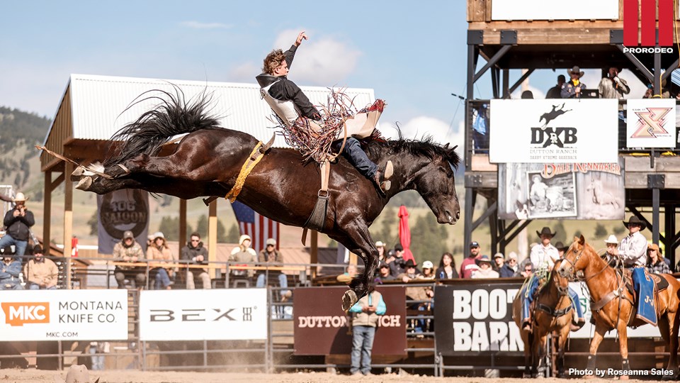 Cooper Cooke Darby, Montana, 2026