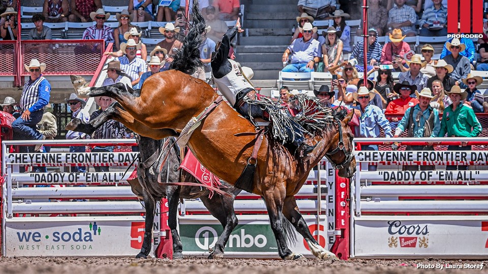 Tim O'Connell, Cheyenne