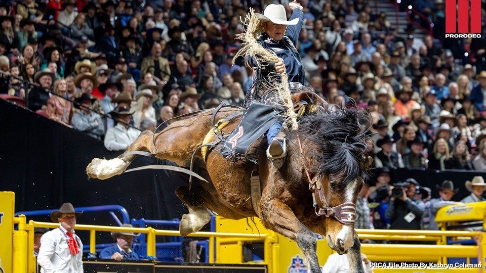 Dawson Hay, NFR photo