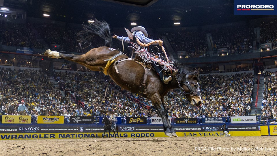 Lefty Holman 2025 NFR