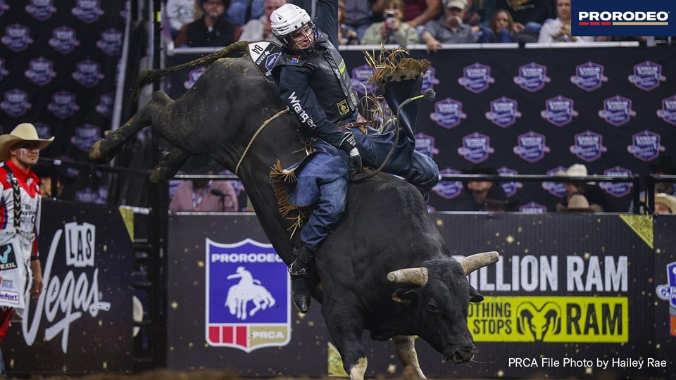 Andersen Sioux Falls